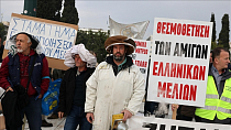Пчеловоды Греции требуют увеличения господдержки