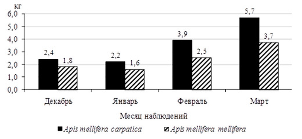 Динамика потребления углеводного корма медоносными пчелами в безоблетный период