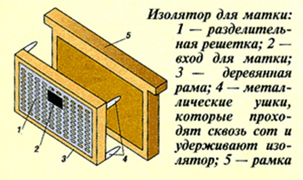 Изолятор для пчеломатки