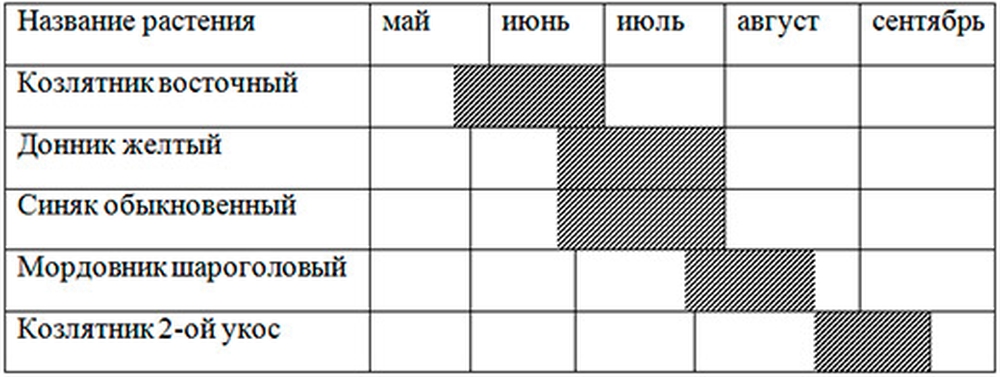 Примерный медоносный конвейер